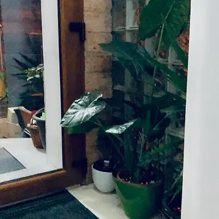 Boutique 3 Apartman Kolozsvár