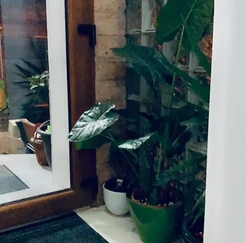 Boutique 3 Appartamento Cluj-Napoca